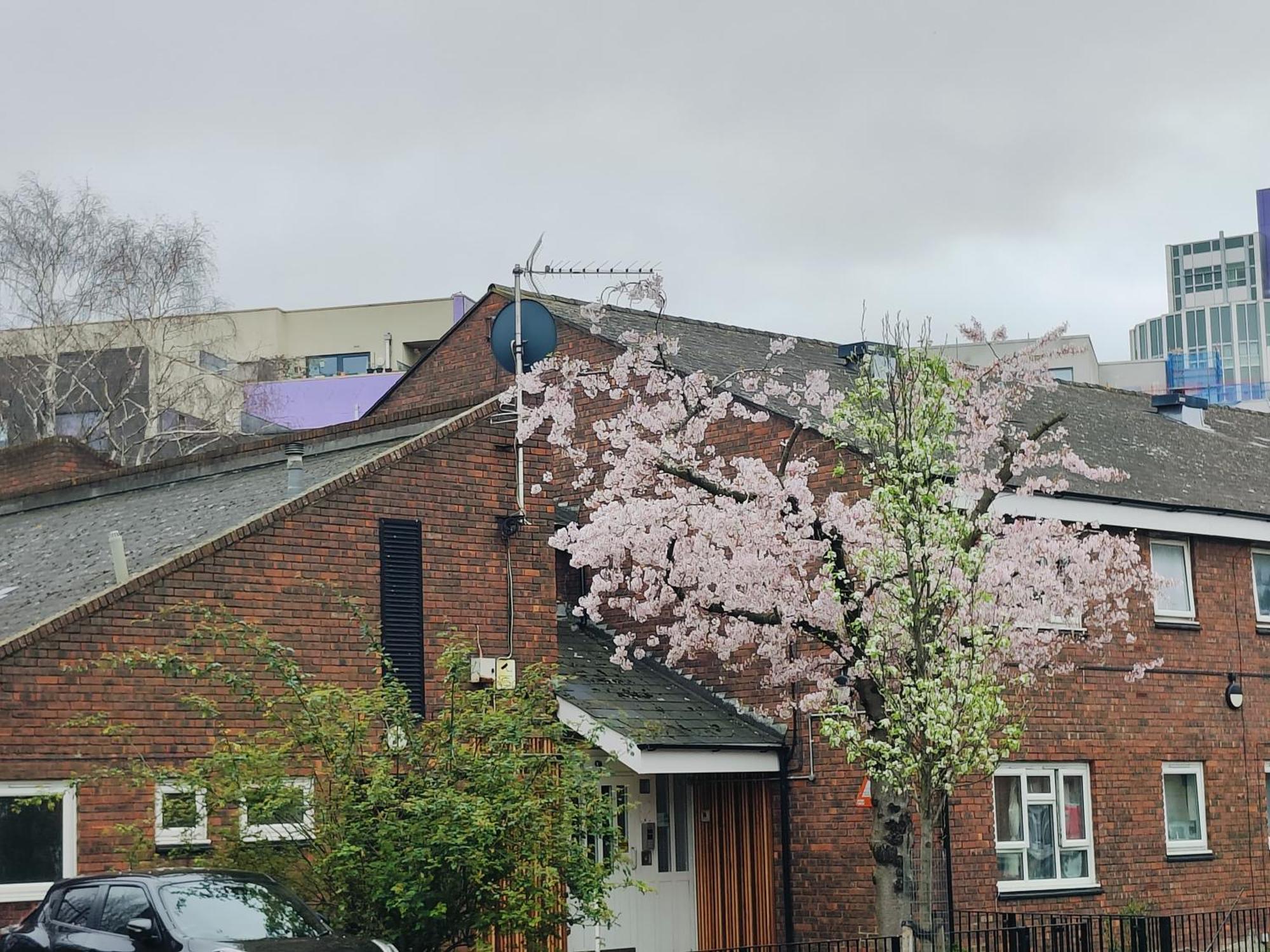 Clifton House O2 & Excel Rooms With Private Bathroom And Breakfast Option Londra Exterior foto